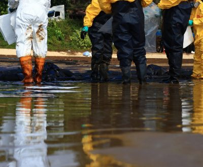 The,Specialist,Technical,And,Volunteers,Cleaned,The,Ocean,Coast,From